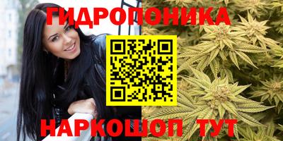 круглые Тара