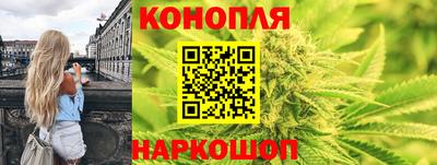 круглые Тара
