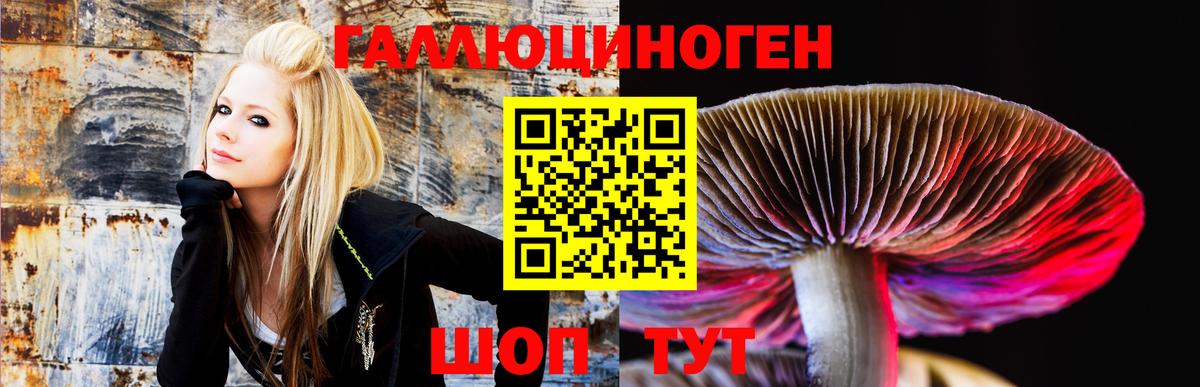 где купить   Вход с VPN  Шатура  Псилоцибиновые грибы GOLDEN TEACHER 